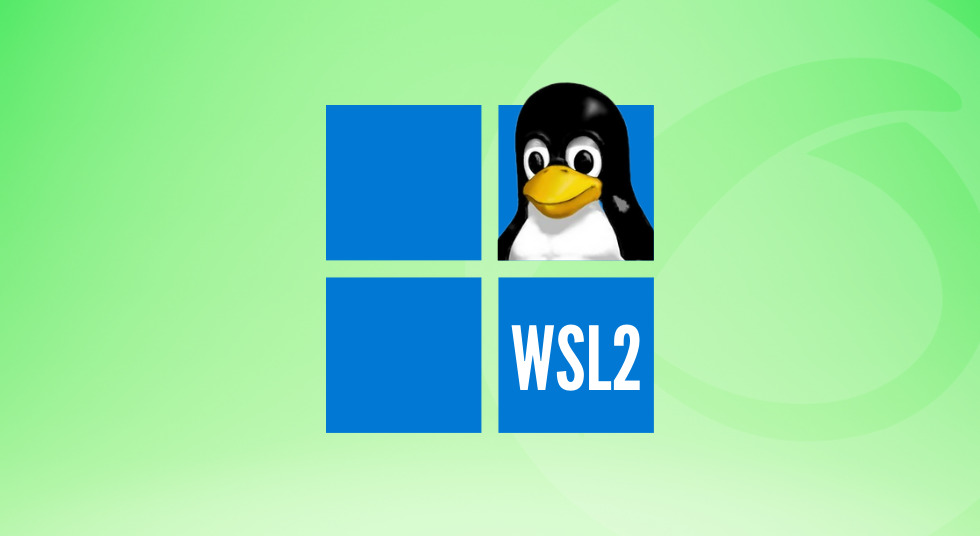  Setting up WSL for NodeJS Development